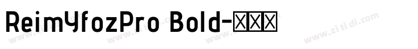 ReimYfozPro Bold字体转换